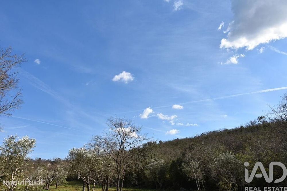 Terreno Agrícola em Chãos
