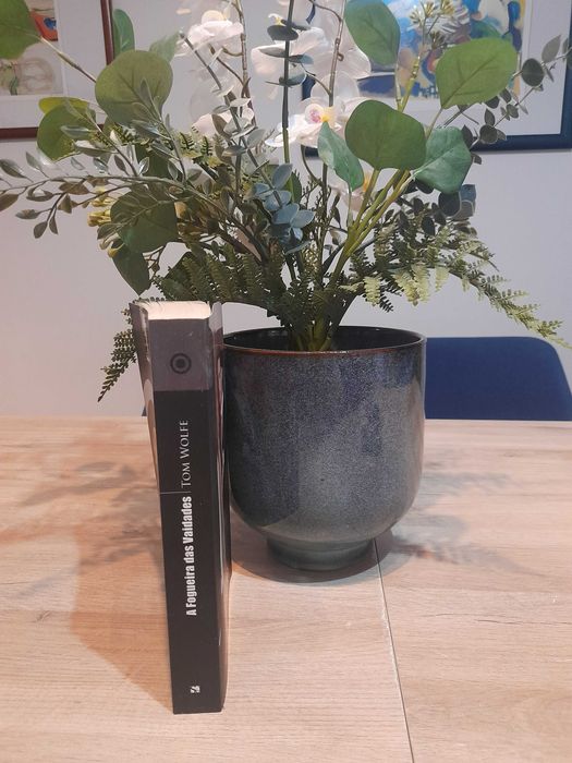 A Fogueira das Vaidades