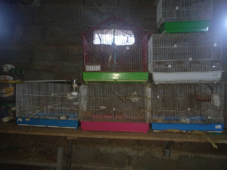 Gaiolas para pássaros