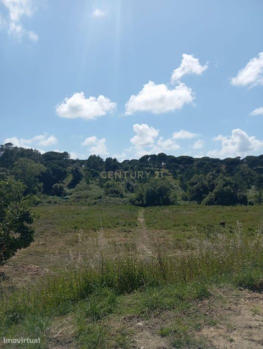 Terreno Rústico perto do Meco