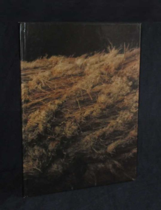 Livro Do Tamanho do Mundo Urbano Tavares Rodrigues Mário Ventura