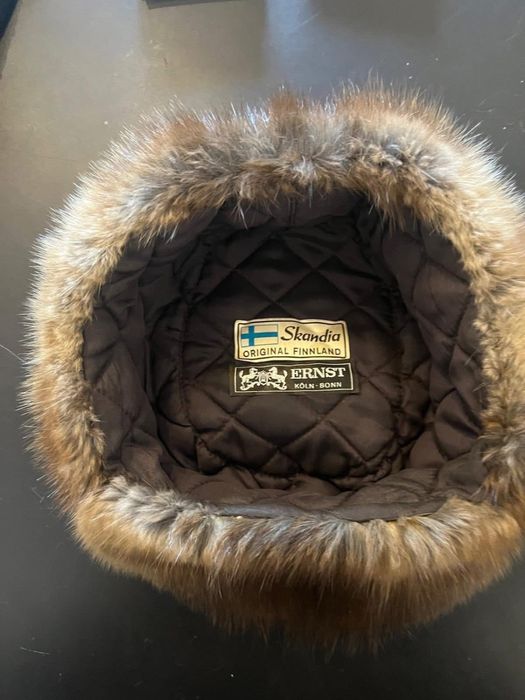 Piękna uszatka z norki