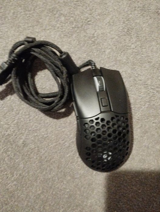 Myszka gennessis nowa