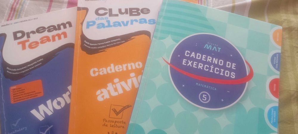 Livros de fichas 5ª ano
