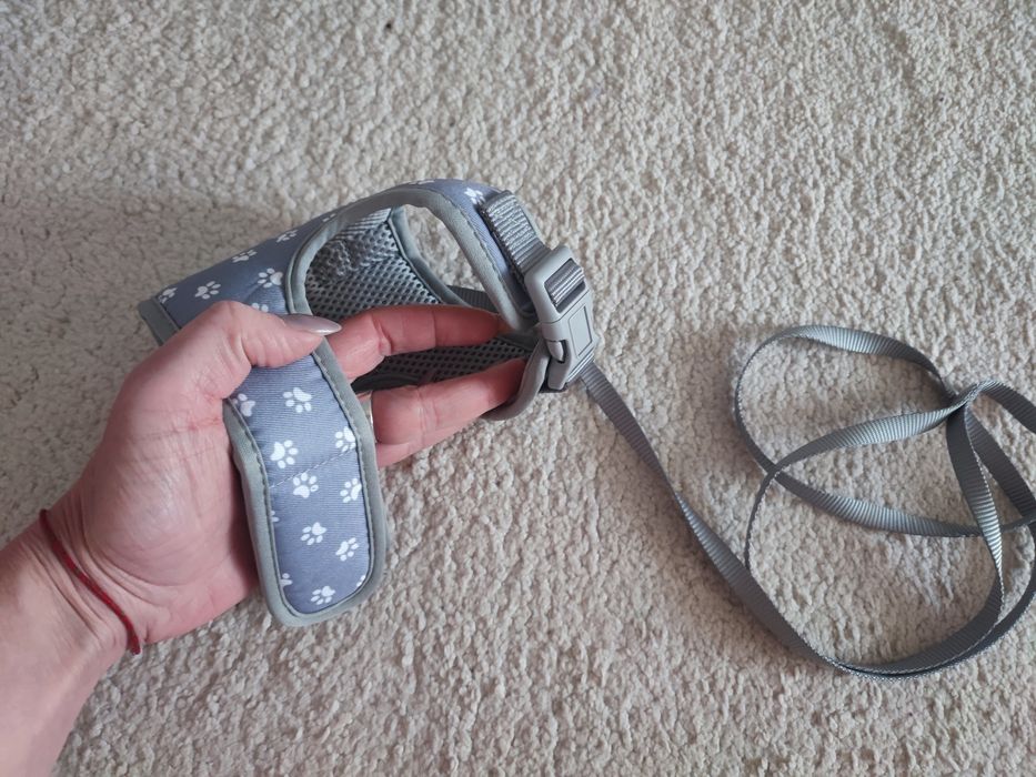 Повідок для цуцика