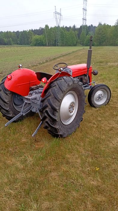 Massey Ferguson tea 30