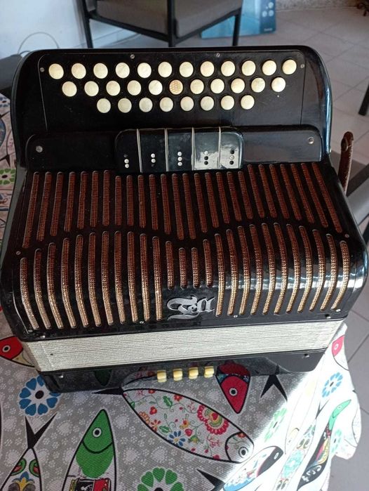 Concertina Bachenbulach Viseu • OLX Portugal