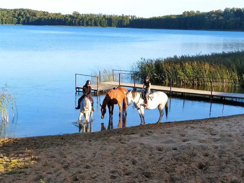 Wakacje, urlop na Mazurach, jezioro, konie, wypoczynek
