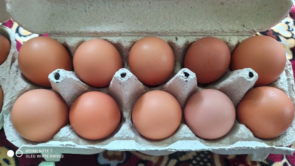 Яйця Домашні, курині !