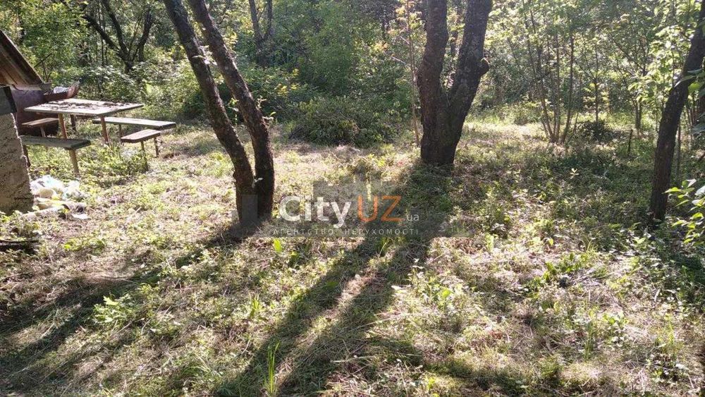 Продається дача в с. Кам’яниця