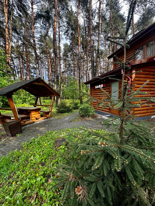 Баня на дровах «Рясне Руське»