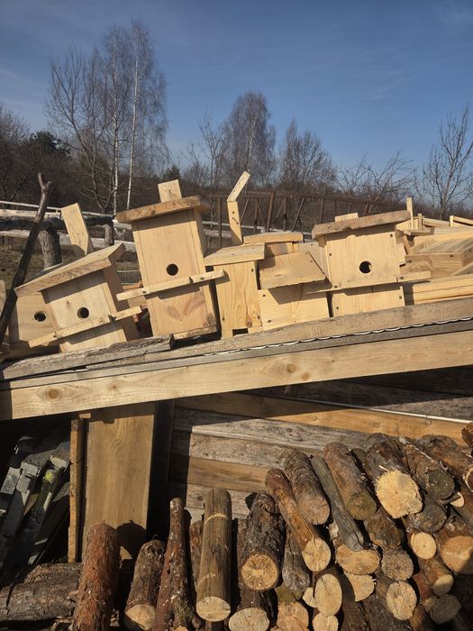 Budka dla ptaków lęgowa