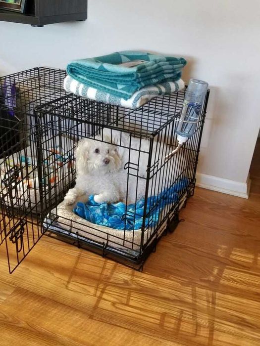 Переноска Польша клітка клетка для собак кошек x/s, S, M, L, XL, XXL