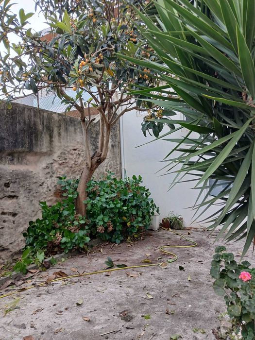 AMPLO T4 DUPLEX para arrendar no centro de ESPINHO