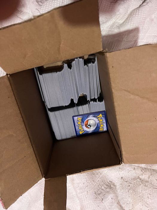 Pokémon PFL Bulk