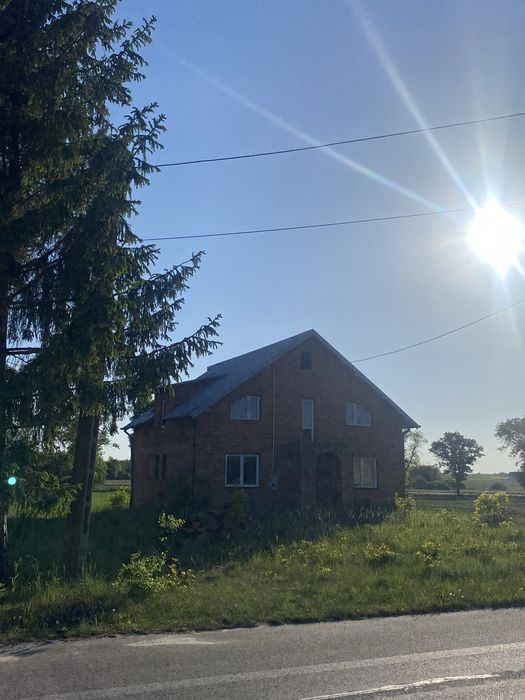 Zdjęcie 6