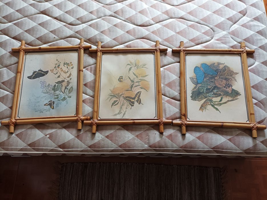 Molduras de canas para quarto