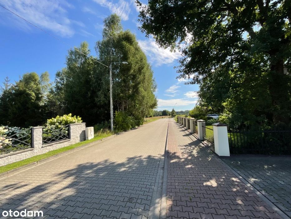 Trzebielino działki 3038 m² do 3600 m² okazja - Więcej
