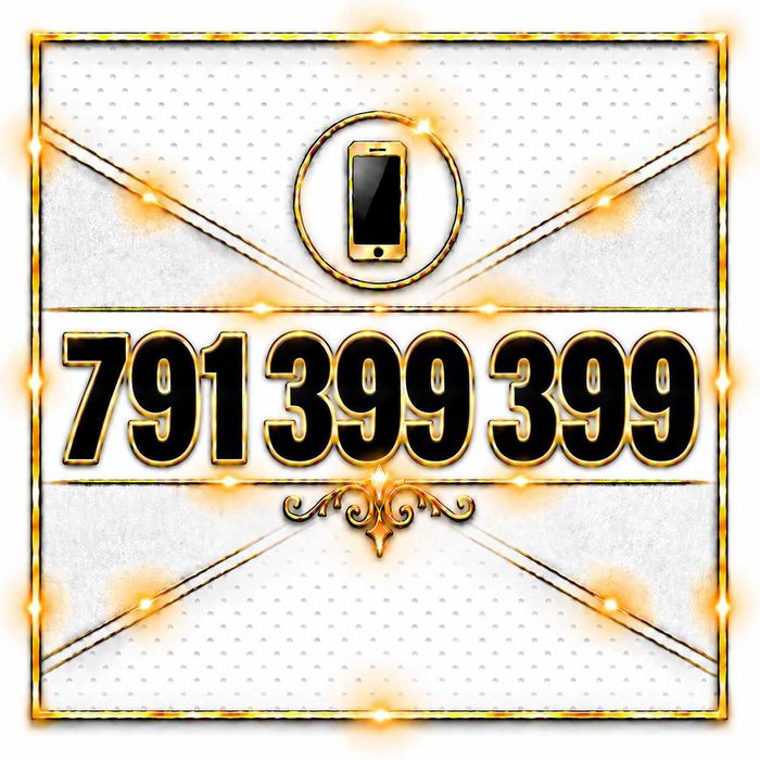 791_399_399 Złoty Łatwy Numer Play Karta Biznes VIP