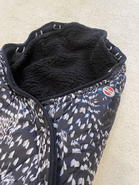 Spiwor spiworek Lodger zimowy 6 miesiecy 3 lata