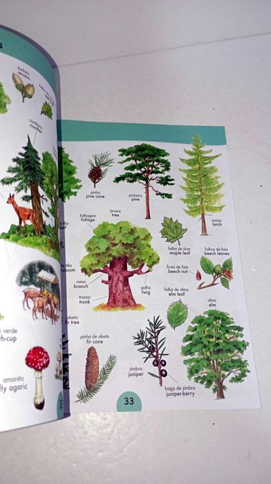 As Minhas Primeiras 1000 Palavras em Inglês