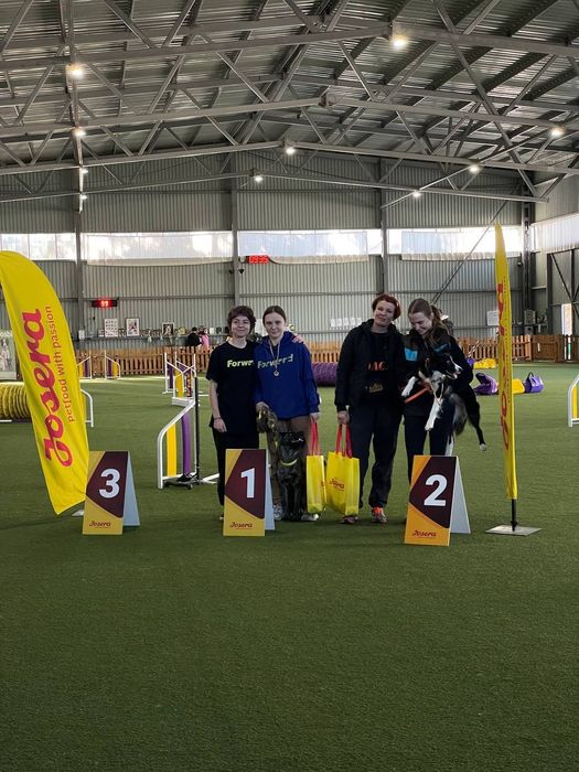 Кінолог, групові та індивідуальні заняття, вигул з дресируванням