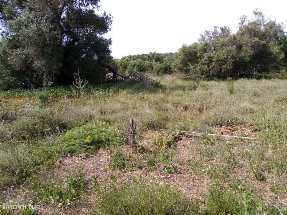 Terreno Rustico com 11 136m2, Loulé, Algarve
