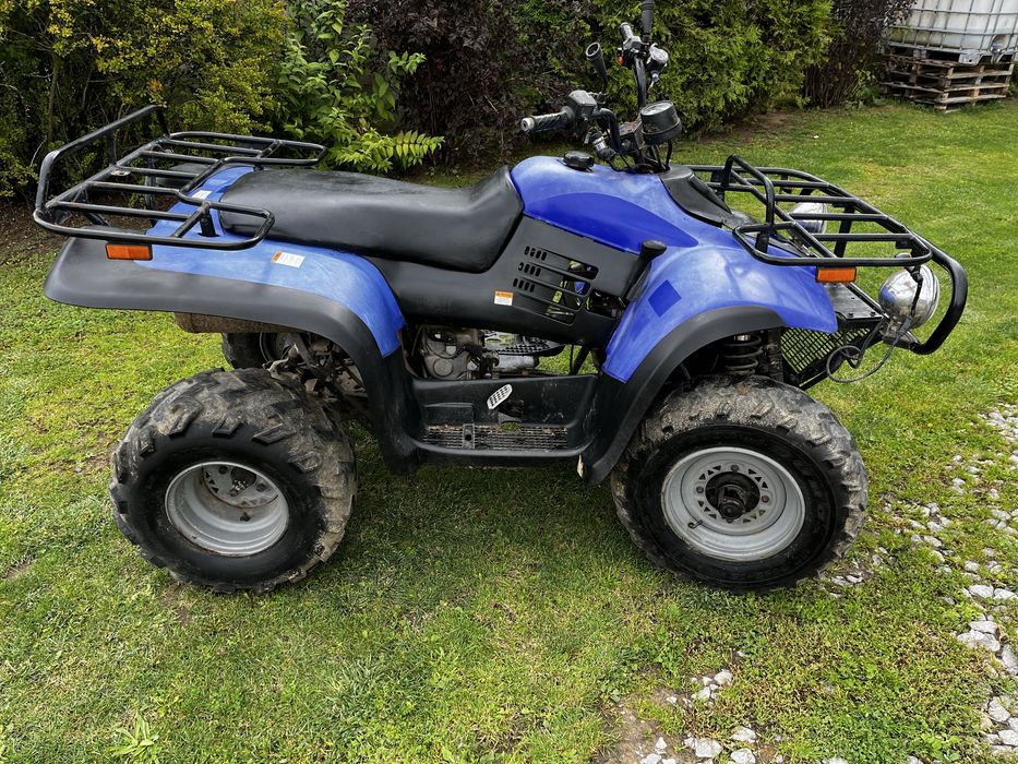 Linhai 300 2x4 Quad ATV + Hak