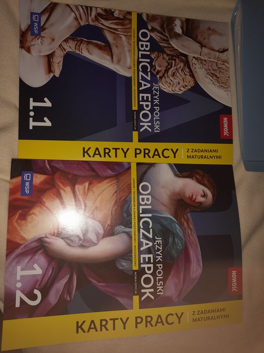 Najmowsze Karty Pracy WSIP'-język polski klasa I LO/Technikum