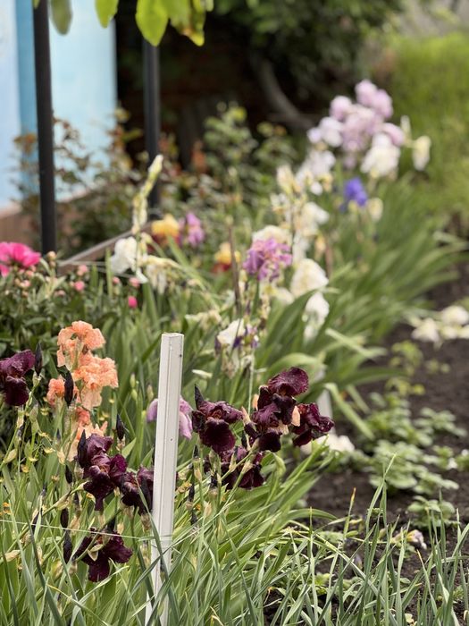 Продам будинок з ділянкою на цукровому власник без комісії