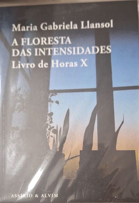 A Floresta das Intensidades