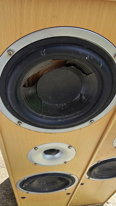 Głośniki CNtronic 500w