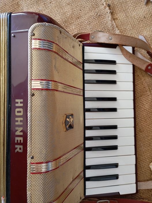 Acordeão hohner starlet 40 bxs