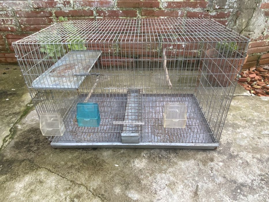 Viveiro para canarios ou agapornis/ troca por casal canarios