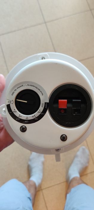 Динамик IPA 20Bт, IPS 20 P