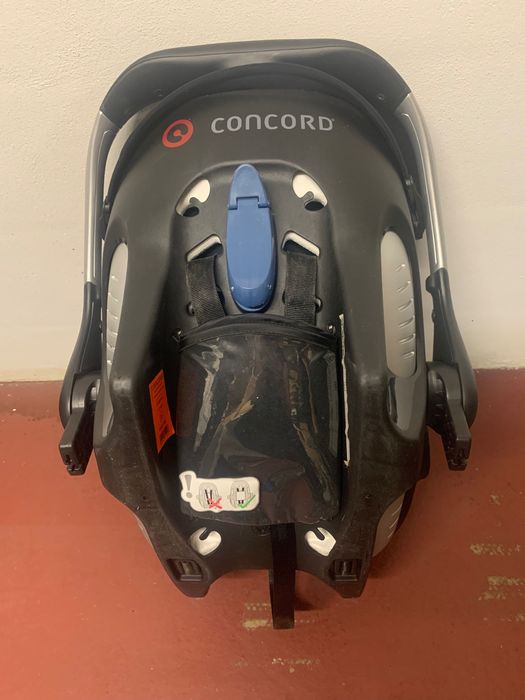 Vendo Ovo baby cock Concord