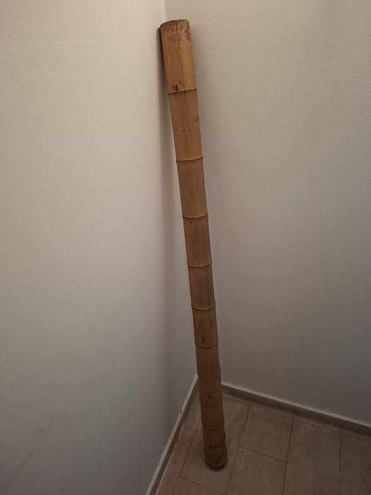 Bambu 200 x 12 cm