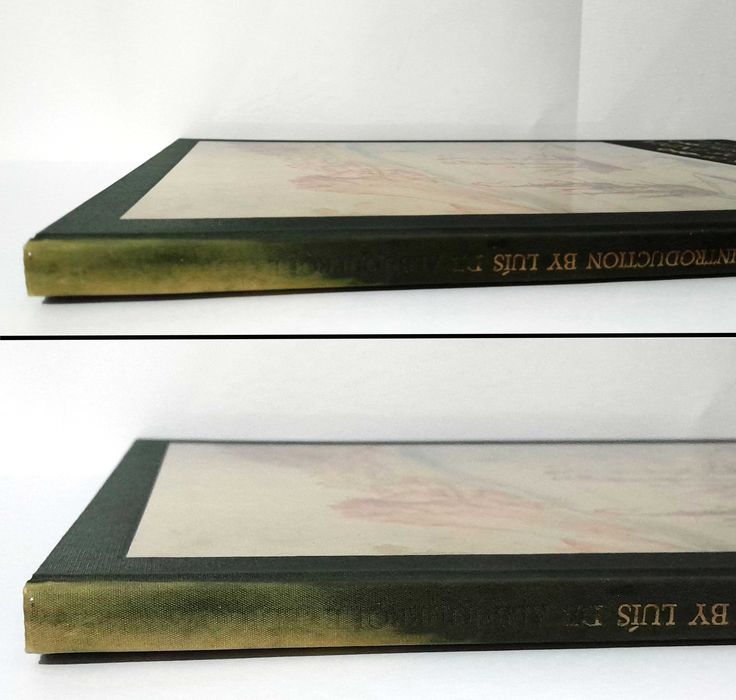 Tábua dos Roteiros da Índia de D. João de Castro (Idioma: INGLÊS)