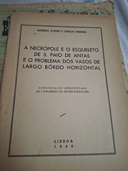 Arqueologia Necropole e Esqueleto de São Paio das Antas