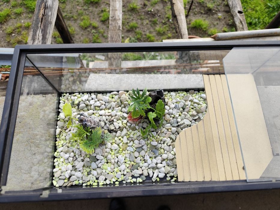 Aquário para tartarugas