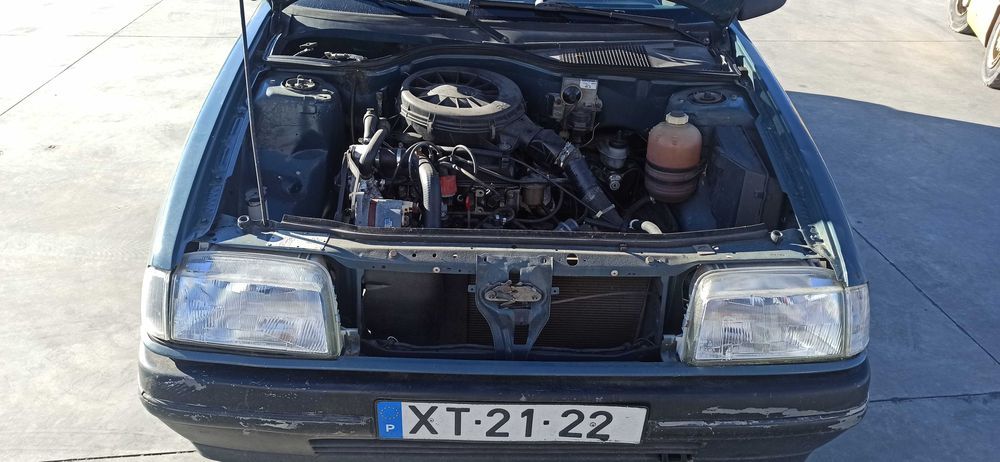 Renault R19 para Peças 1.2 Gasolina