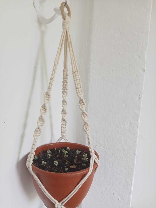 Suporte para plantas
