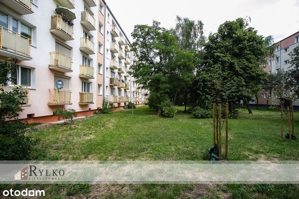 3 pokoje z widokiem na zieleń