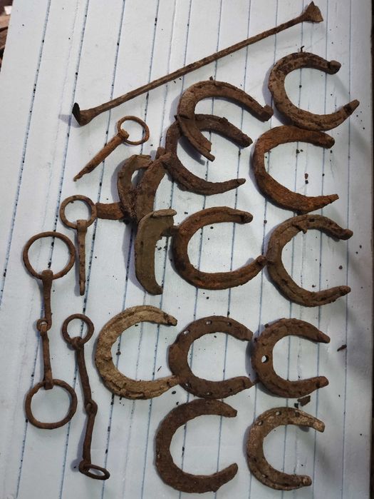 Набійки знахідки для копит тварин