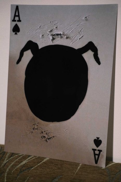 Plakat - Twin Peaks (#12)