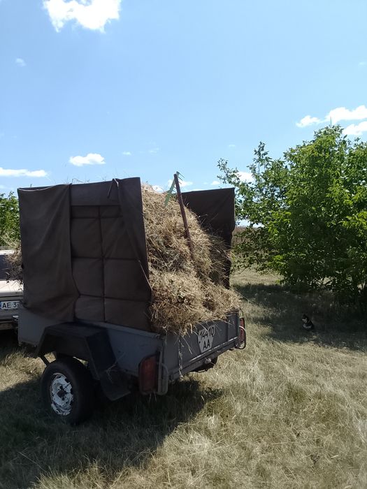 Продам сено люцерка