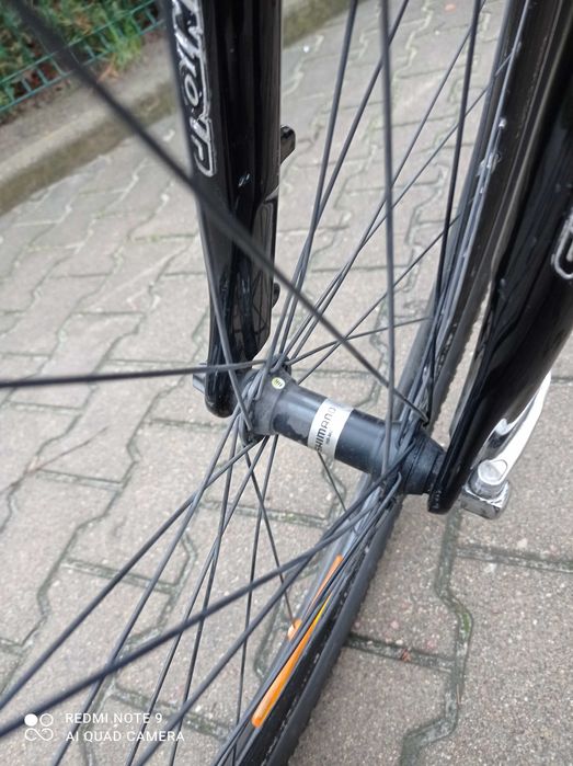 Rower BULLS COMP 4.50