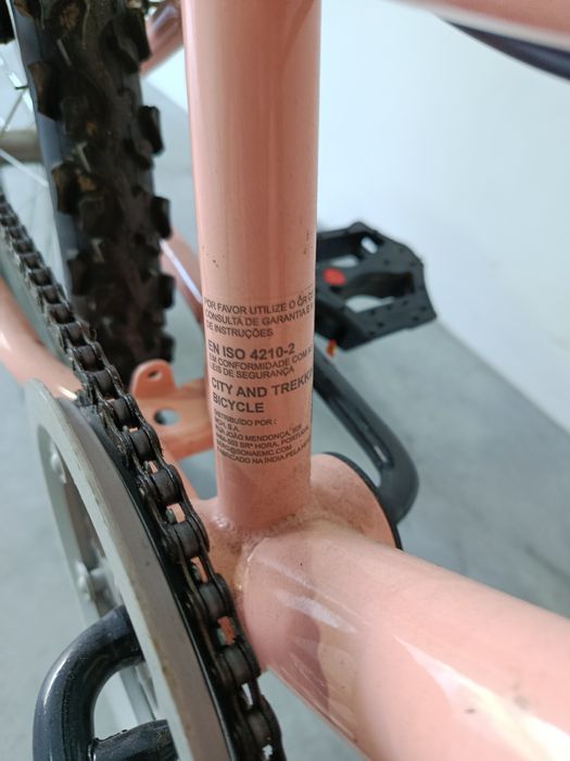 Bicicleta rosa Berg