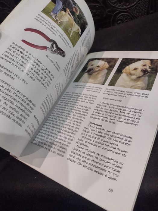 O Lavrador Retriever - Uschi Birr