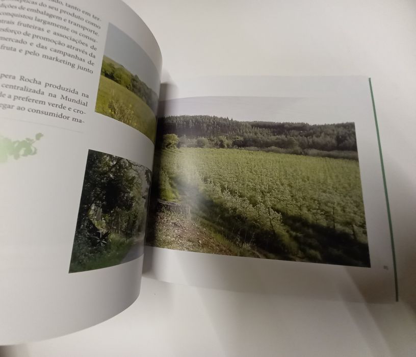 Pêra Rocha do Oeste: Estates and Production64285465923201122